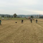 Nachdem die Samen gedroschen und getrocknet wurden, werden sie von Hand auf den Wiesen ausgebracht
